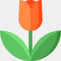 Koningsdag Thumbnail