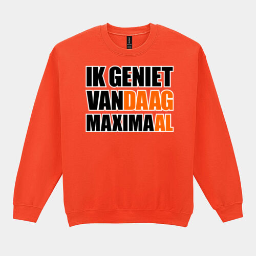 Maximaal genieten sweater Thumbnail