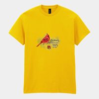 Heavy Cotton™ adult t-shirt Thumbnail