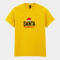 Heavy Cotton™ adult t-shirt Thumbnail